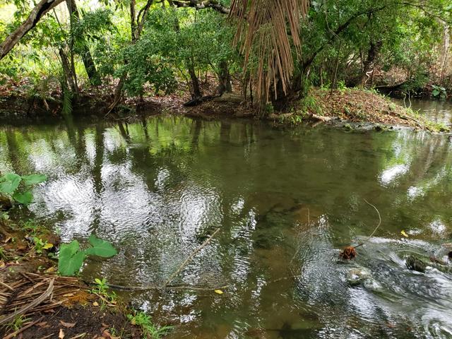 Vende-se chácara 110 km de Várzea Grande Watssap *