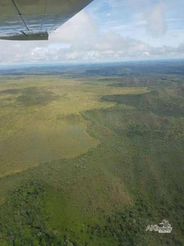 Fazenda à venda, 690000000 m² por r$ 172.500.000,00 - centro - fernando falcão/ma - Foto 2