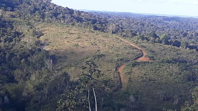 Fazenda em camamu R$ 1.500.00 a tarefa a mais barata do Brasil - Foto 5