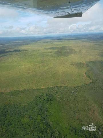 Fazenda à venda, 690000000 m² por r$ 172.500.000,00 - centro - fernando falcão/ma