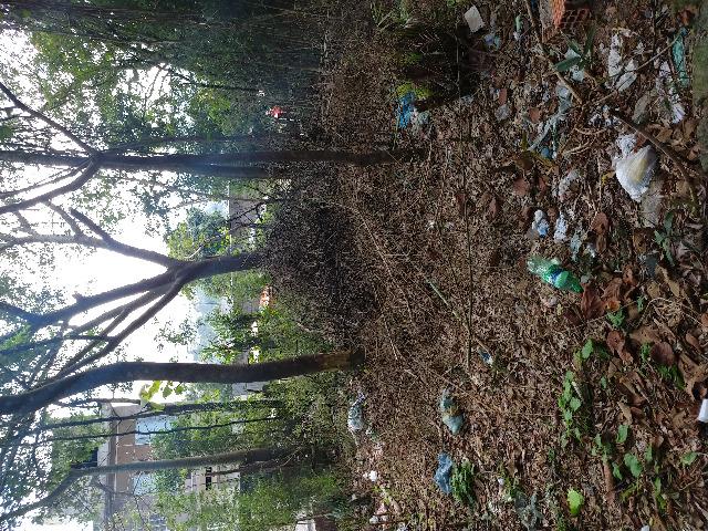 Terreno - Foto 2