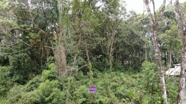 Terreno à venda, 300 m² por r$ 46.000,00 - brandalize - itapoá/sc