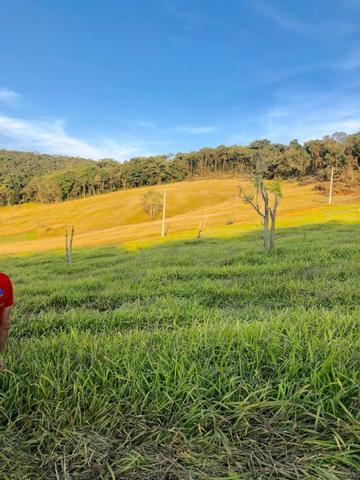 L.o1 Terreno em terra preta preta em Mairiporã ! - Foto 3