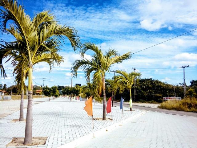 Seu sonho e de sua família agora pode se tornar realidade, Lotes em Cascavel - Foto 13