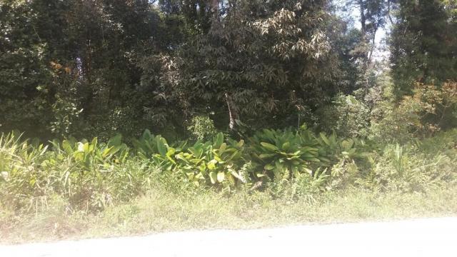 Bom terreno de 12.80 x 24 total 307,20 m2 em itapoá na área retro portuária, aproximadamen - Foto 3