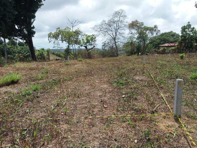 Terreno - Foto 2