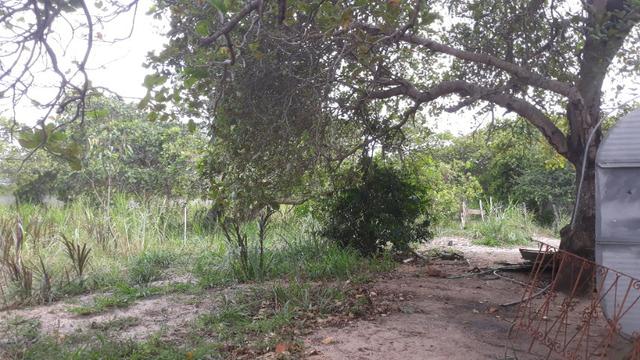 Granja com 10.000 m², vizinha ao Condomínio Fazenda Real I/II, em Macaíba/RN - Foto 9