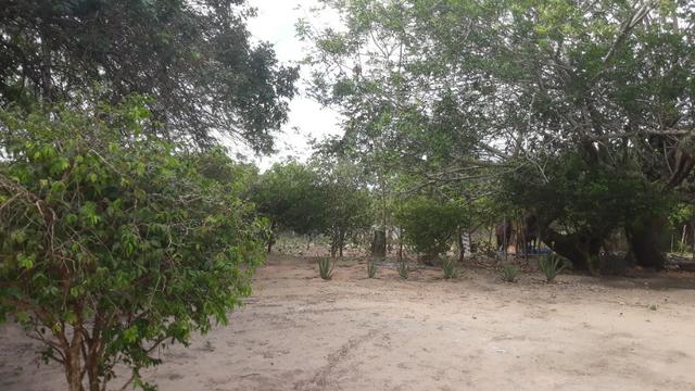 Granja com 10.000 m², vizinha ao Condomínio Fazenda Real I/II, em Macaíba/RN - Foto 7