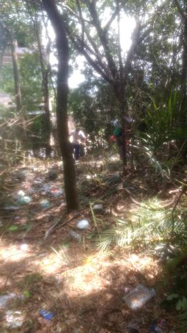 Terreno - Foto 3