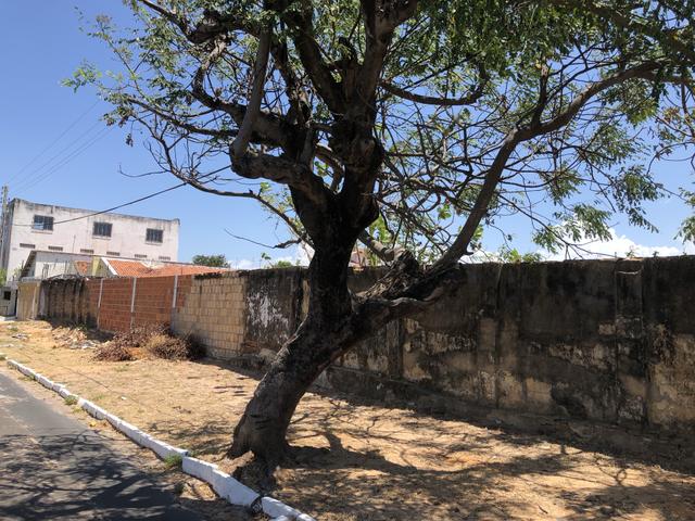 Terreno Parnaíba - Excelente oportunidade!!! - Foto 6