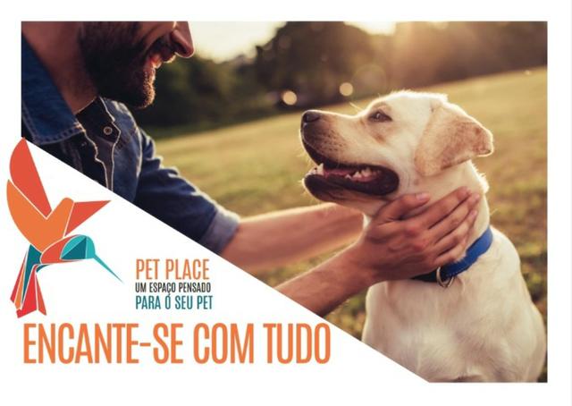 Sobrados de 2 e 3 Dormitórios com Quintais de Vários Tamanhos - Foto 12
