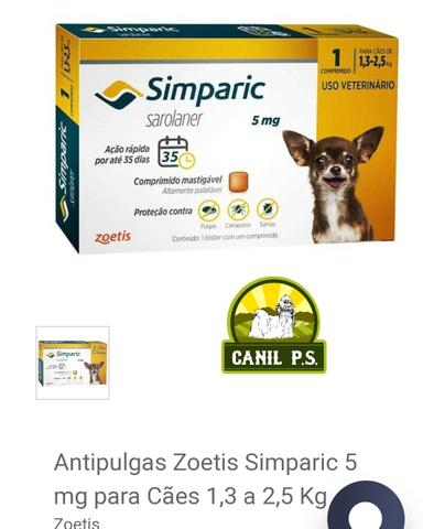 Produtos para seu pet