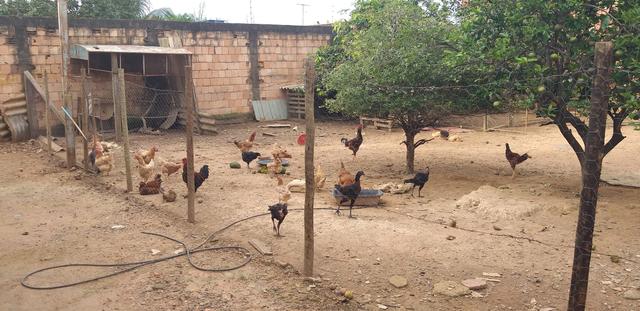 Oportunidade em planaltina DF vendo excelente casa em um lote de 675 metros murado - Foto 19