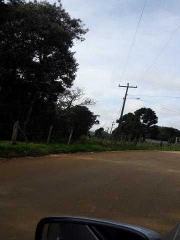 Chácara à venda em Areia branca dos nogueira, Mandirituba cod:CH00013 - Foto 6