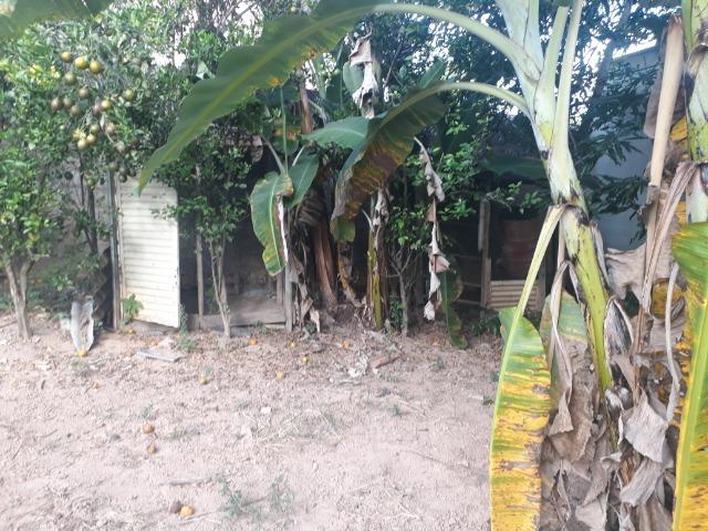 Chácara com 500m² em Barreto - Nova Serrana - Foto 14