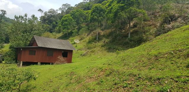 Sitio para locação de eventos com piscina em Santo Amaro da imperatriz - Foto 3