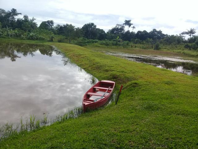 Chácara - Foto 15
