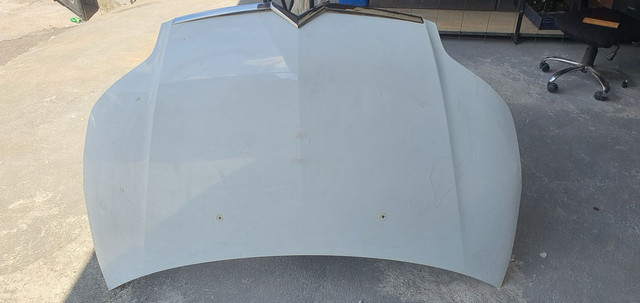 Capo do citroen c4 Pallas