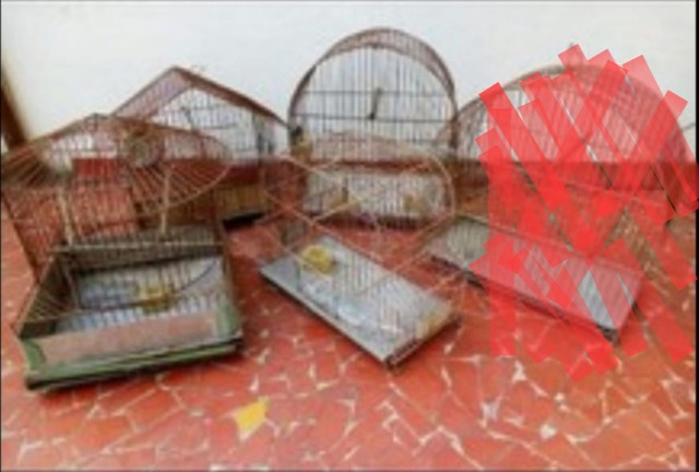 Gaiolas de passarinhos, 4 por R$60 - Foto 5