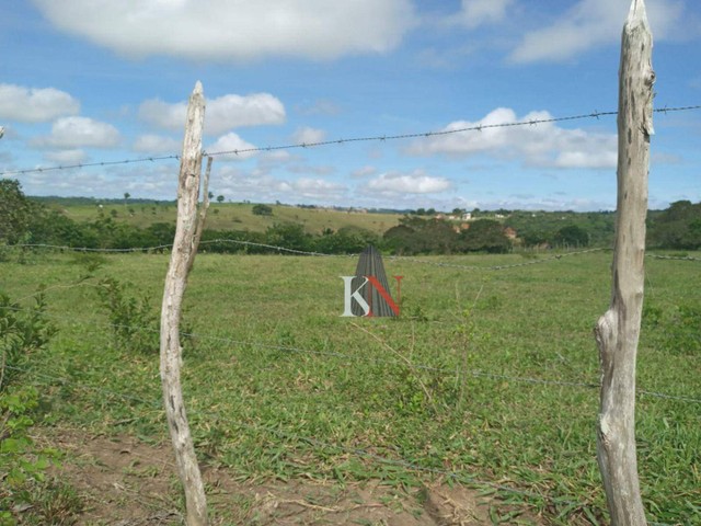 Vende-se propriedade rural em Bananeiras - Foto 7