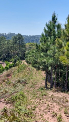 Terreno com 20.000m2 em Pedra Azul | Domingos Martins - Foto 8