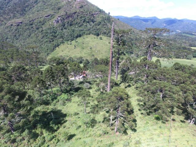 Sitio em Urubici /chácara em Urubici - Foto 6