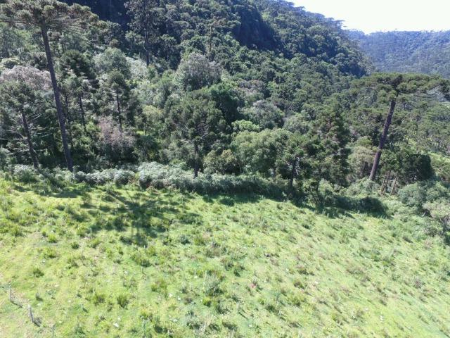 Sitio em Urubici /chácara em Urubici - Foto 11