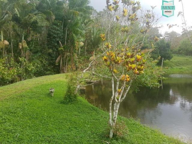 Igrapiúna. Fazenda com 845 Hectares e cachoeira, cacau, pupunha e seringa. - Foto 11