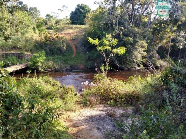 Maraú. Fazenda de 710 Hectares com diversas atividades de produção e rica em água - Foto 16