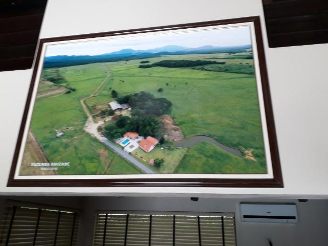 Fazenda Plana toda Aproveitável, Valor muito Atrativo do que Pedem Na Região