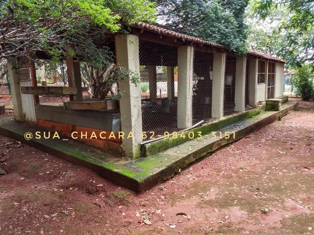 25 alqueires Porteira Fechada Goianira- GO - Foto 20