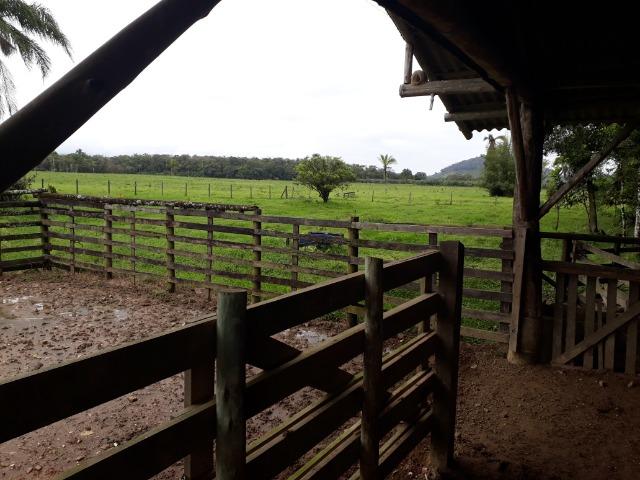 Fazenda Plana toda Aproveitável, Valor muito Atrativo do que Pedem Na Região - Foto 14