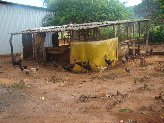 Formosa Goiás á 39 km na região do Maltizaria - Foto 12