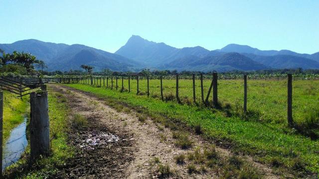 Fazenda Plana toda Aproveitável, Valor muito Atrativo do que Pedem Na Região - Foto 5