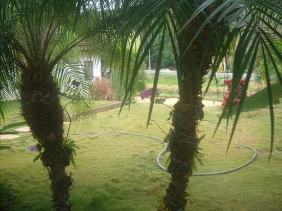 Sitio na Lajinha - Foto 10