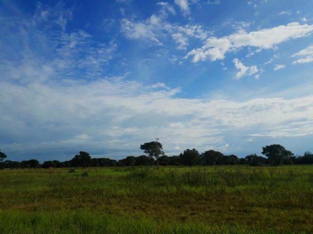 FAZENDA A VENDA EM CORUMBÁ - MS (Pecuária) - Foto 5