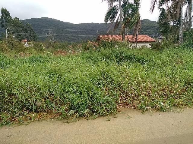 Terreno para investimento com 288m²!!! Morretes Itapema