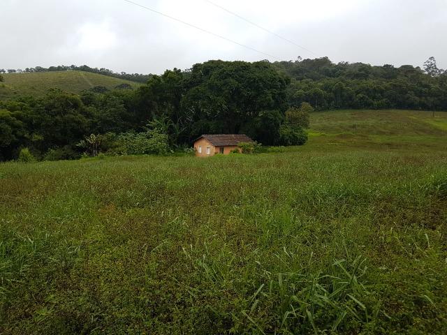 193B/Ótima fazenda de 70 ha bem localizada com ótima altitude e topografia