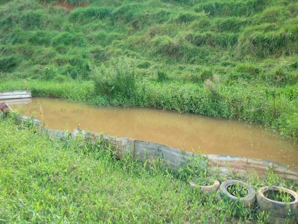Sítio à venda em Córrego dos monos, Mesquita cod:559 - Foto 4
