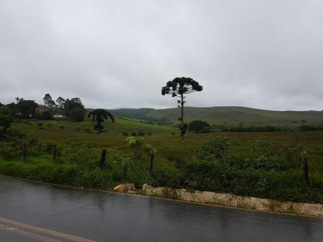 193B/Ótima fazenda de 70 ha bem localizada com ótima altitude e topografia - Foto 8