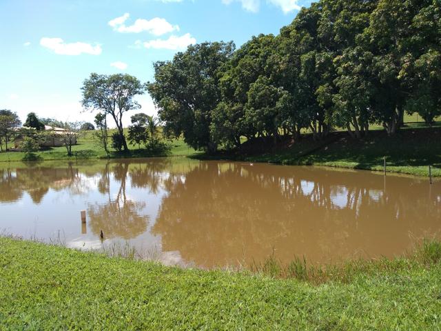 Chácara de 1 alqueire entre Ouro Verde e Petrolina, com muita água - Foto 3