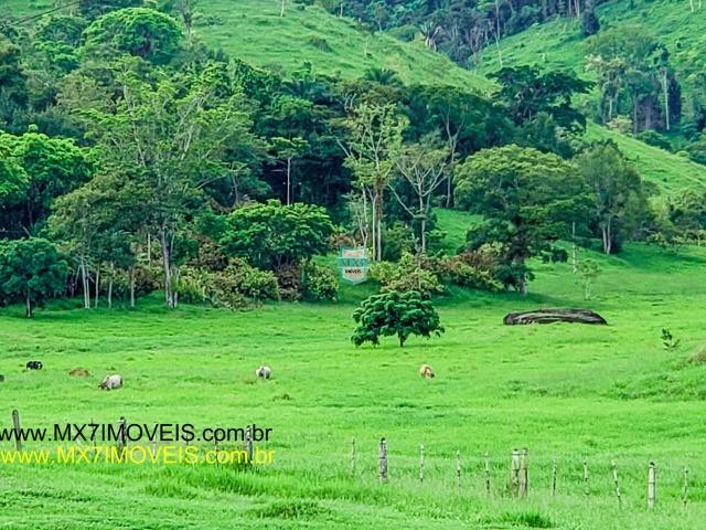 Itaju do Colônia. Linda Fazenda pecuária de 375 Hectares - Foto 8