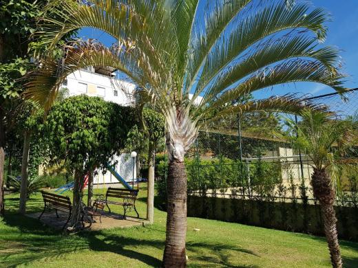 Apartamento à venda com 2 dormitórios em City ribeirão, Ribeirão preto cod:58729 - Foto 9