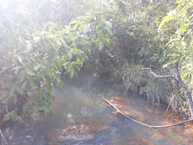 Sitio região do manso - Foto 2