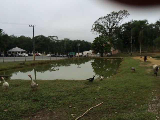 Chácara para alugar com 4 dormitórios em Vila nova, Joinville cod:L58656 - Foto 11