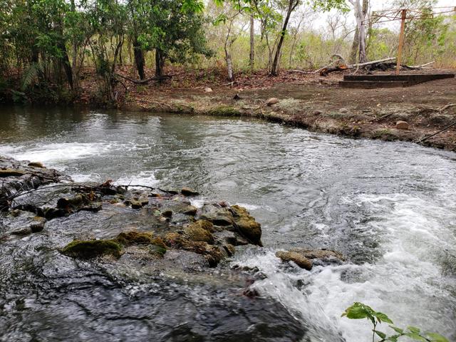 Vende-se chácara 110 km de Várzea Grande Watssap * - Foto 2