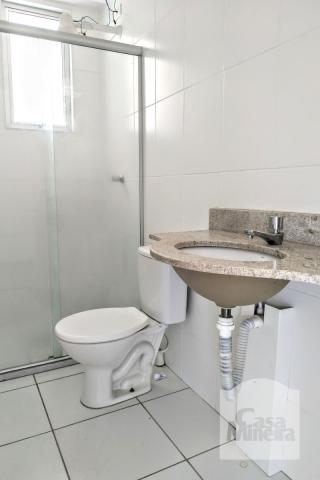 Apartamento à venda com 3 dormitórios em Alto caiçaras, Belo horizonte cod:256280 - Foto 9