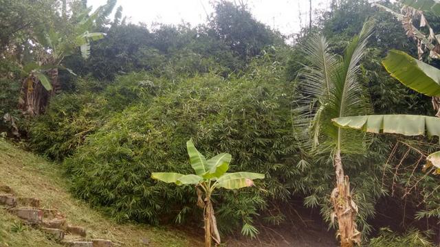 Vende-se uma casa com um terreno grande em São tome prox a praia valor a combinar - Foto 2