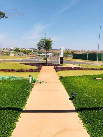 Terreno à venda, 483 m² por r$ 300.000,00 - granja marileusa - alphaville 1 - uberlândia/m - Foto 14