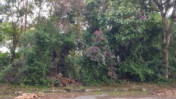 Terreno à venda em Jardim são jorge, Arujá cod:63335 - Foto 5